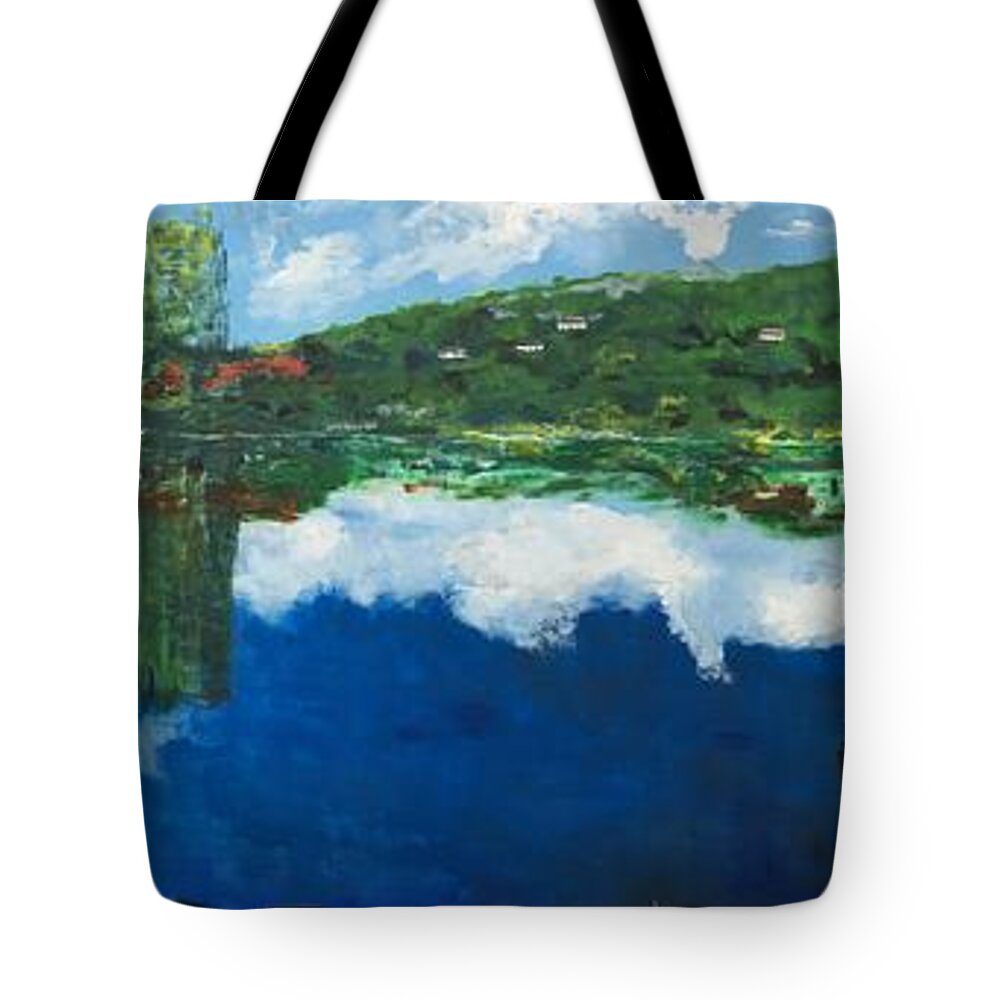 Lake Tote Bag featuring the painting Coloring Holland V - Wall Four by Belinda Low