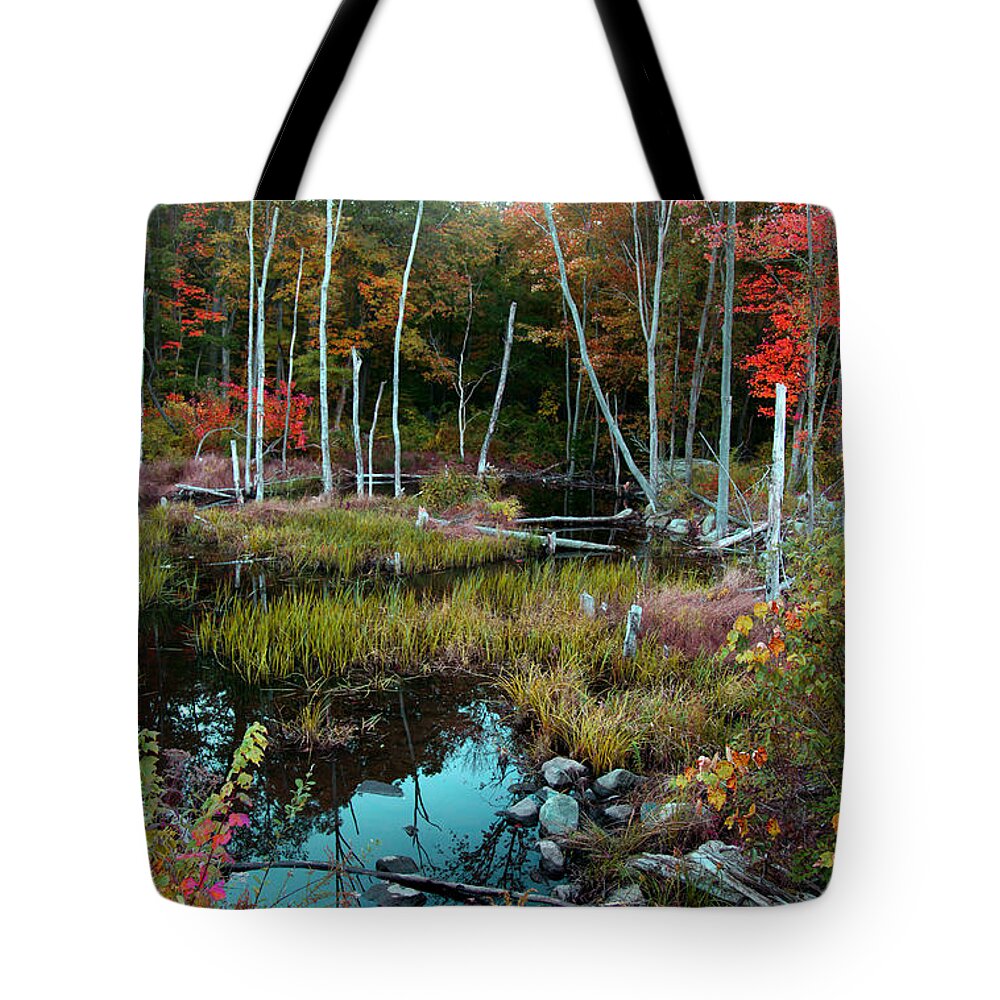 Landscape Tote Bag featuring the photograph Colors by The Stream by Joseph G Holland