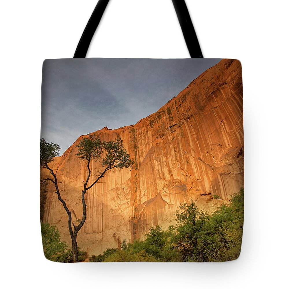 Coyote Gulch Tote Bag featuring the photograph Colors of bliss by Kunal Mehra