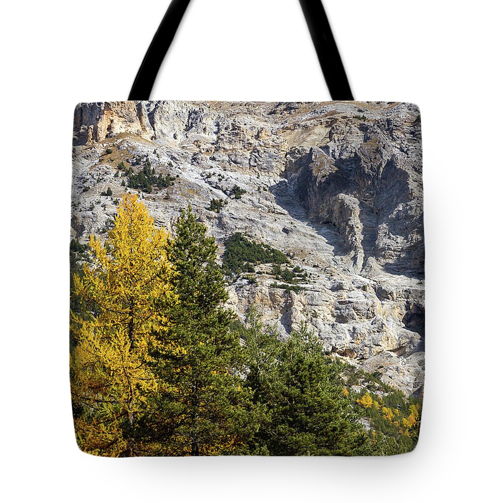 Colors Of Fall Tote Bag featuring the photograph Colors of fall - 3 by Paul MAURICE