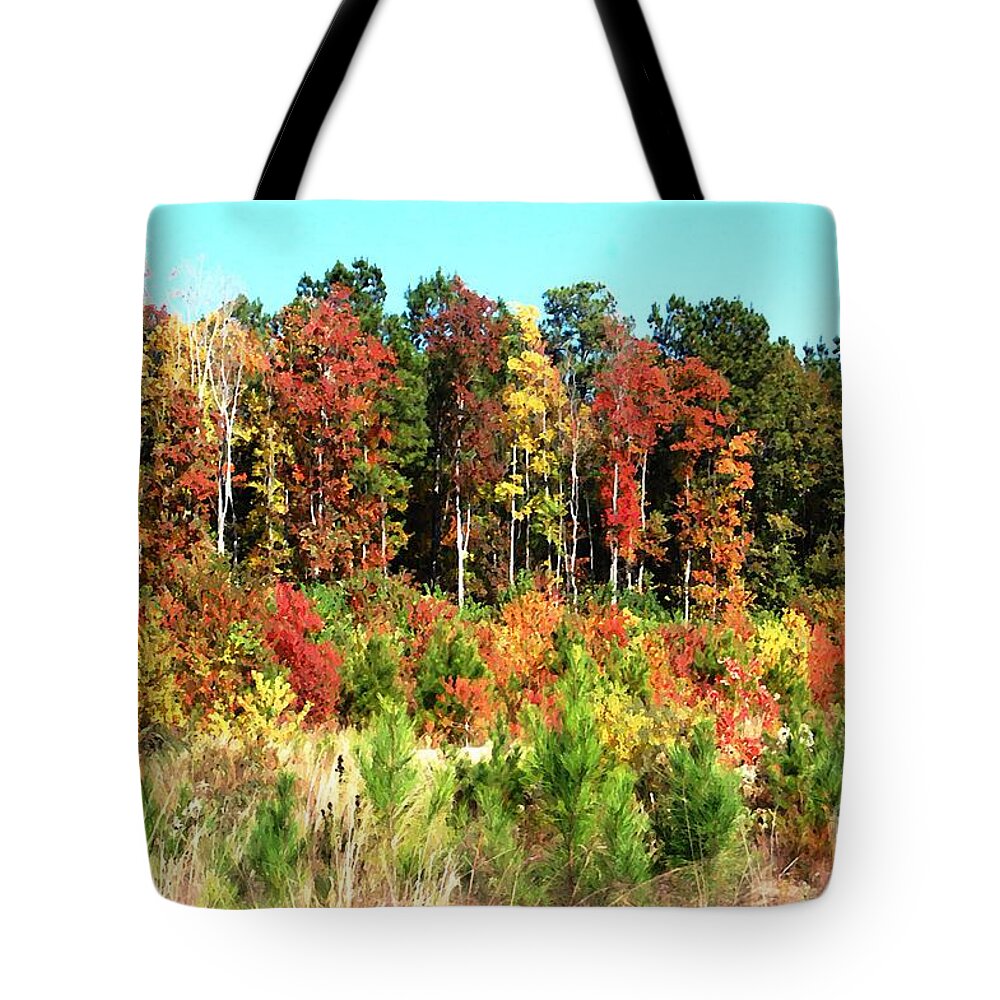 Forest Tote Bag featuring the photograph Colors Of Fall by Donna Bentley