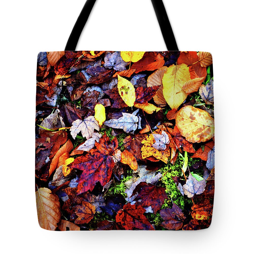 Leaves Tote Bag featuring the photograph Colors Of Nature - Fallen Leaves 003 by George Bostian