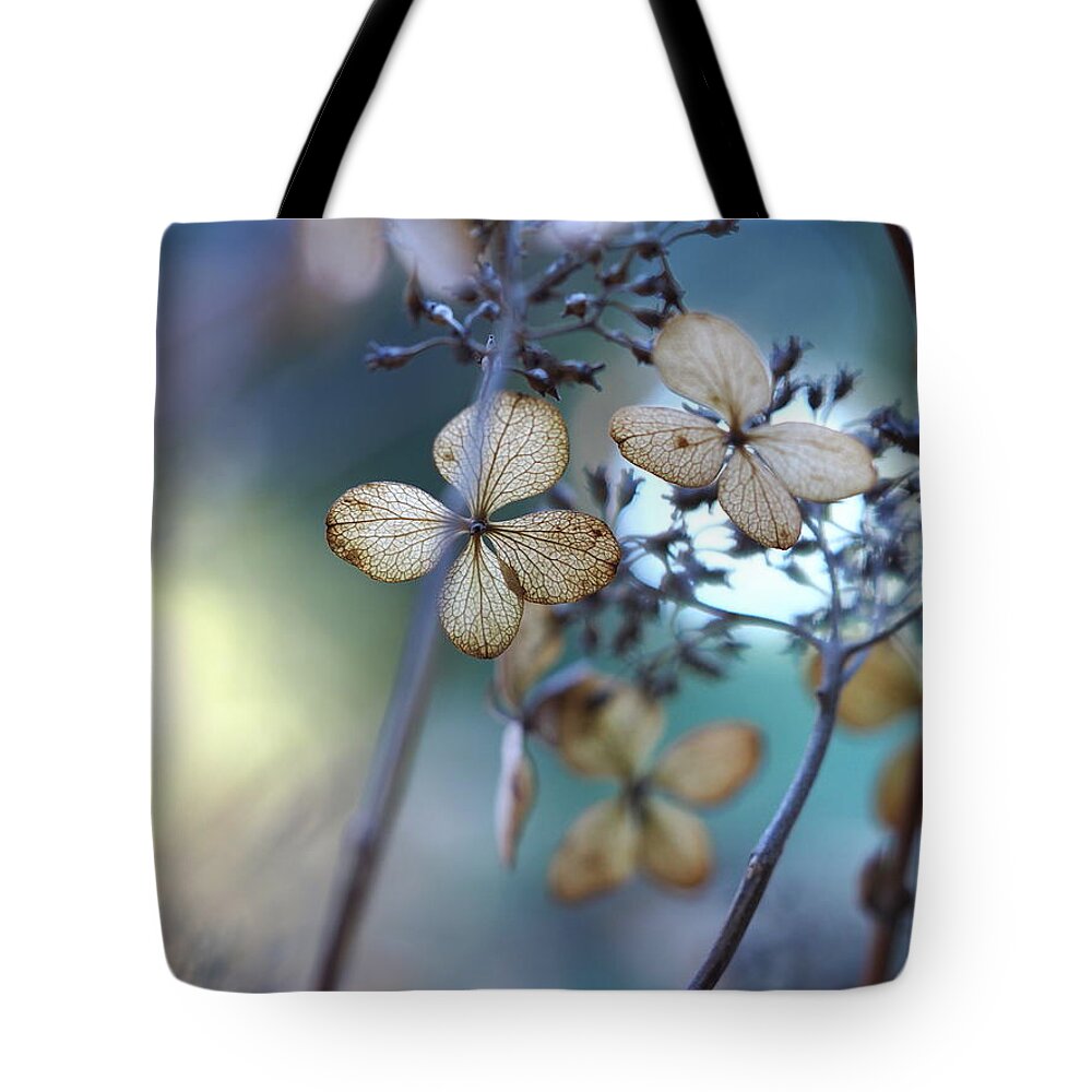 Nature Tote Bag featuring the photograph Colors of Winter by Jessica Myscofski