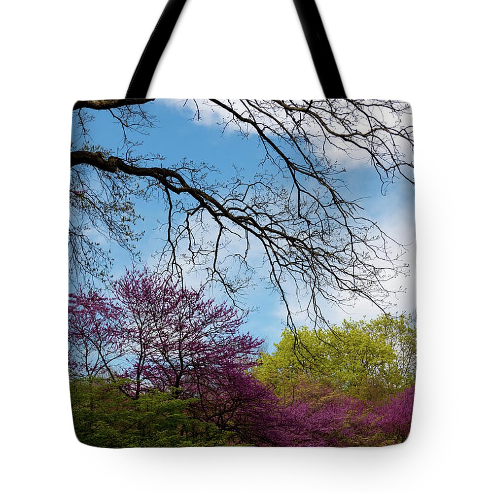 Spring Tote Bag featuring the photograph Colors by Sam Rino