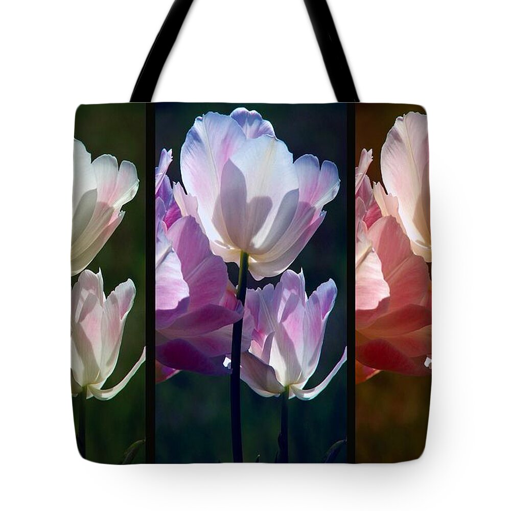Coloured Tulips Tote Bag featuring the photograph Coloured Tulips by Robert Meanor