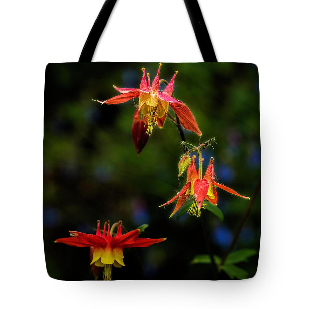 Wildflower Tote Bag featuring the photograph Columbine by Fred Denner