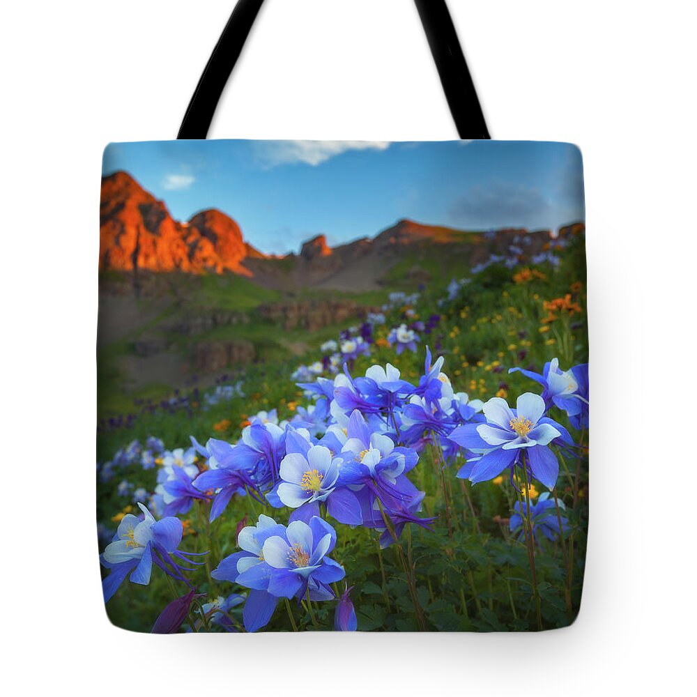 Colorado Tote Bag featuring the photograph Columbine Sunrise by Darren White