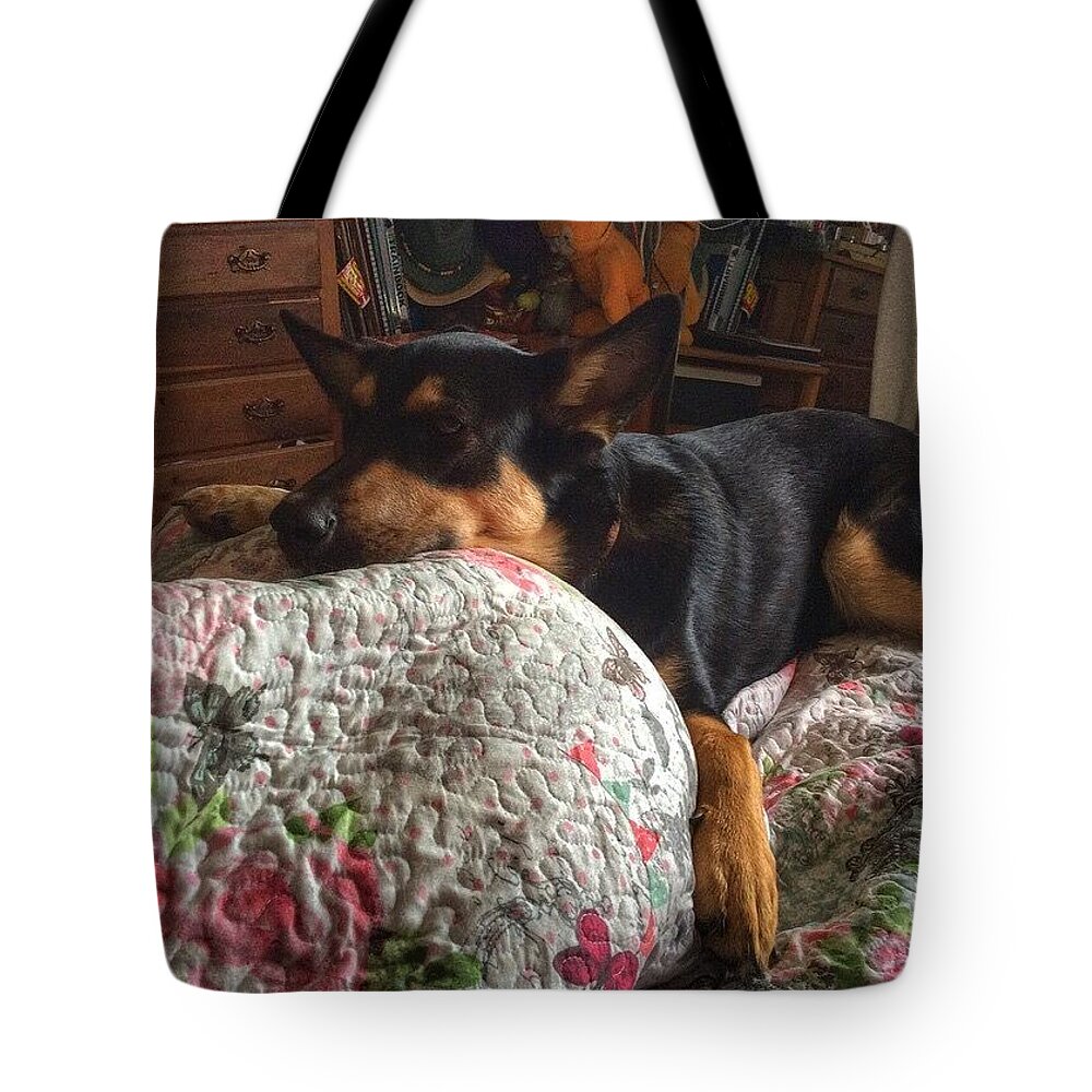 Petstagram Tote Bag featuring the photograph Comfort. #dogs #gsd #germanshepherd by Abbie Shores