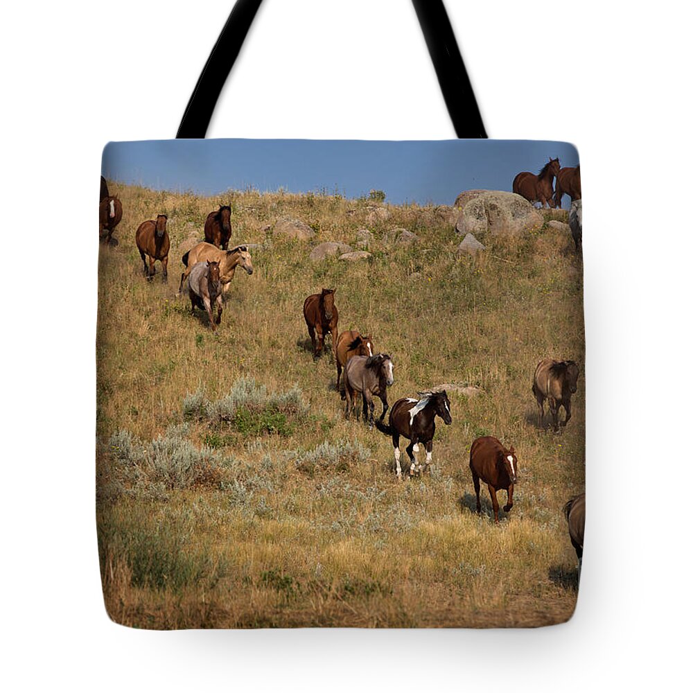 Terri Cage Photography Tote Bag featuring the photograph Coming Down The Hill by Terri Cage