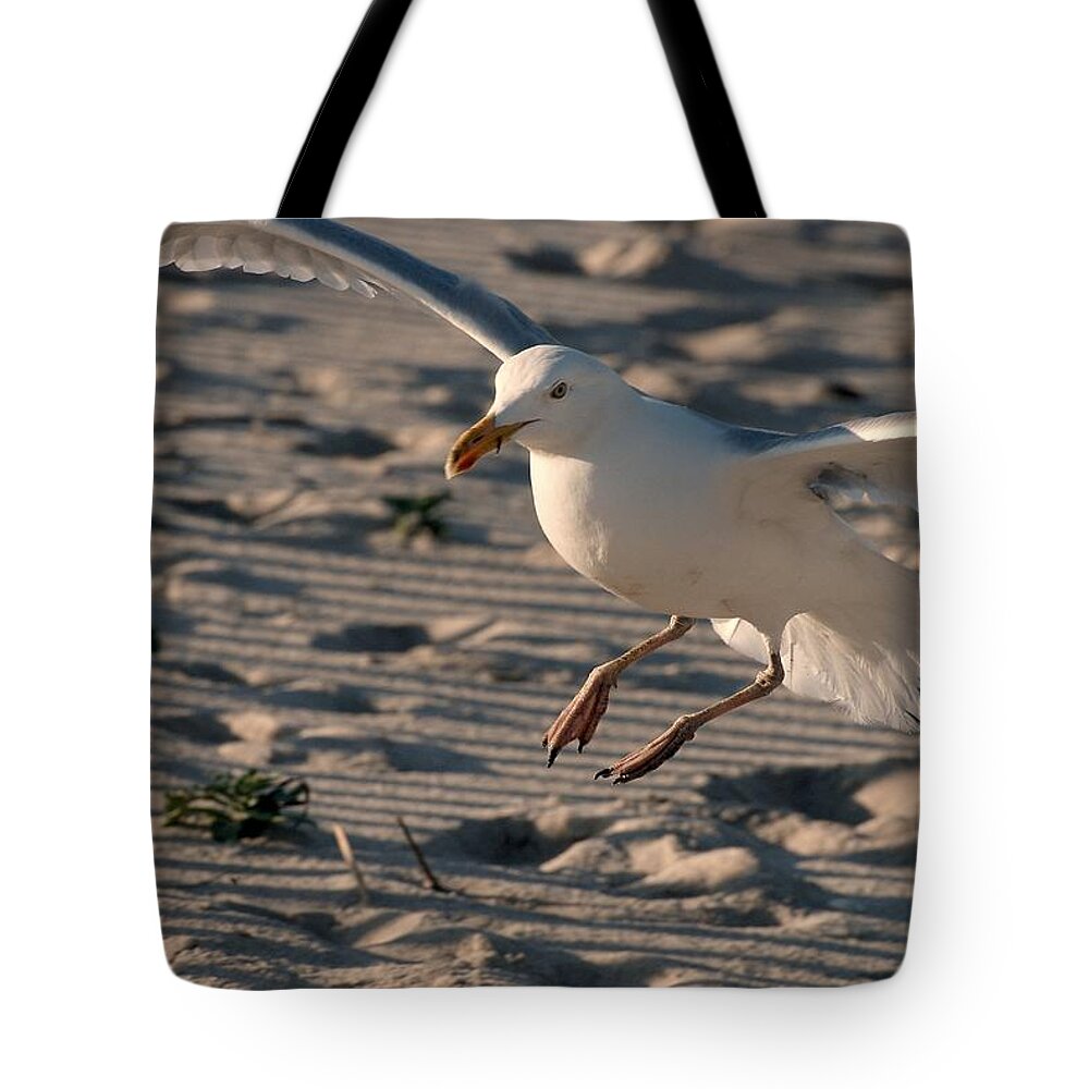Jersey Shore Tote Bag featuring the photograph Coming In For A Landing - Jersey Shore by Angie Tirado