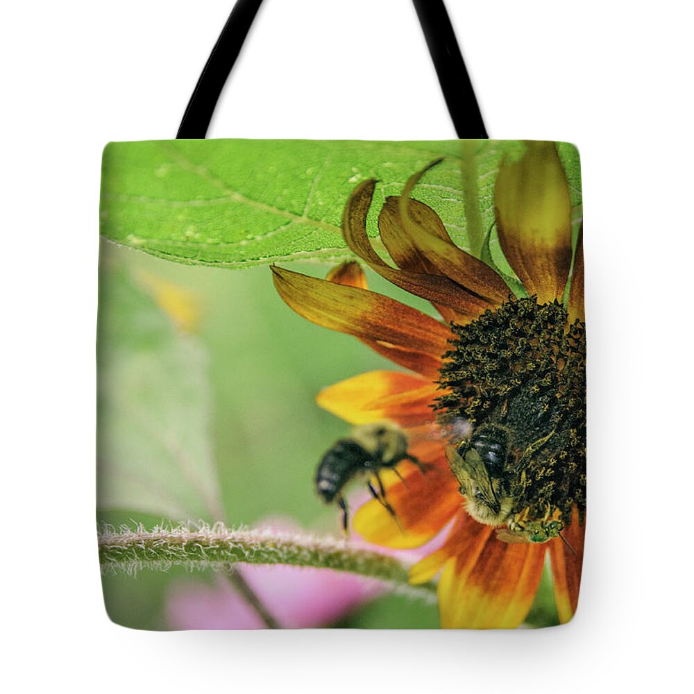  Tote Bag featuring the photograph Coming In..... by Paul Vitko