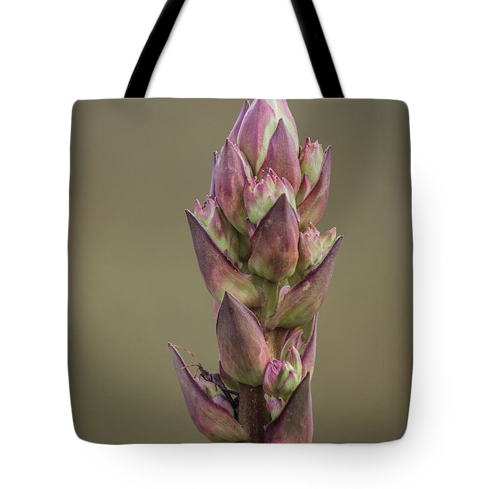 Plant Tote Bag featuring the photograph Coming Out Insect by Roberta Byram