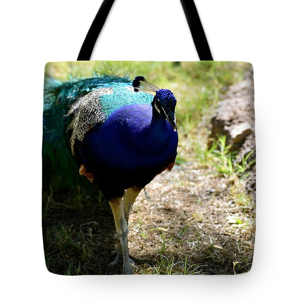 Peacock Tote Bag featuring the photograph Coming Through by Melisa Elliott