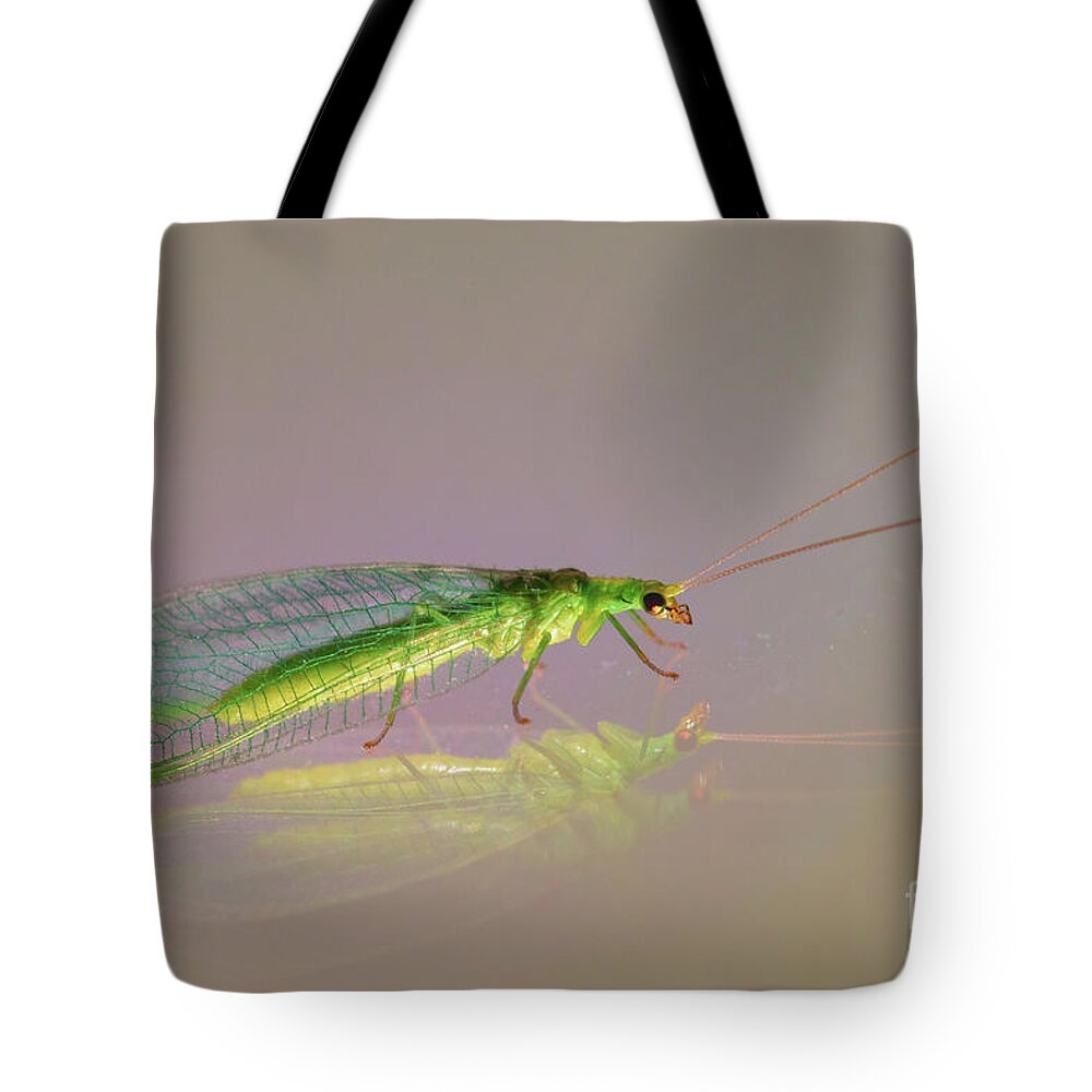 Animal Tote Bag featuring the photograph Common Green Lacewing - Chrysoperla carnea by Jivko Nakev