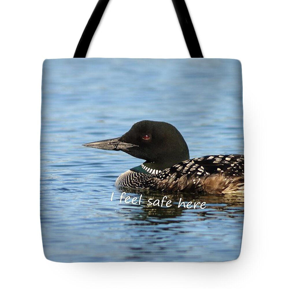  Tote Bag featuring the photograph Common Loon says I Feel Safe Here by Sherry Clark