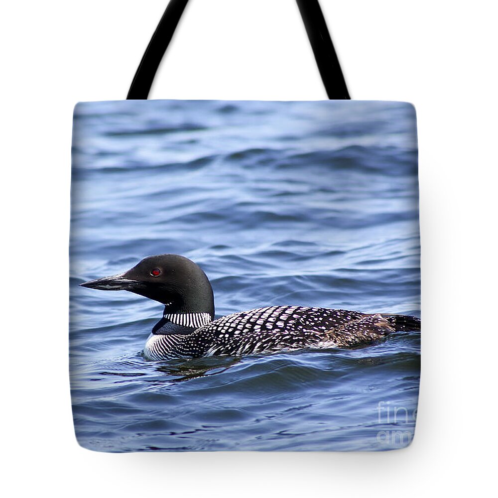 Bird Tote Bag featuring the photograph Common Loon by Teresa Zieba