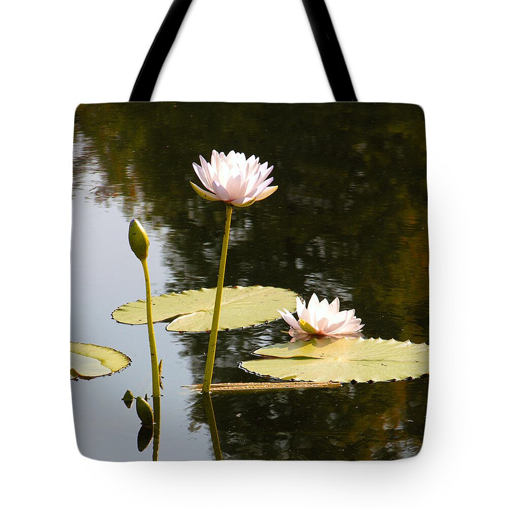 Water Lilies Tote Bag featuring the photograph Composition With Lilies by John Lautermilch