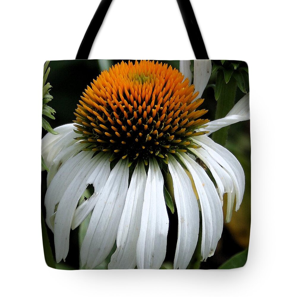 Cone Flower Tote Bag featuring the photograph Cone Flower by Laurie Pace