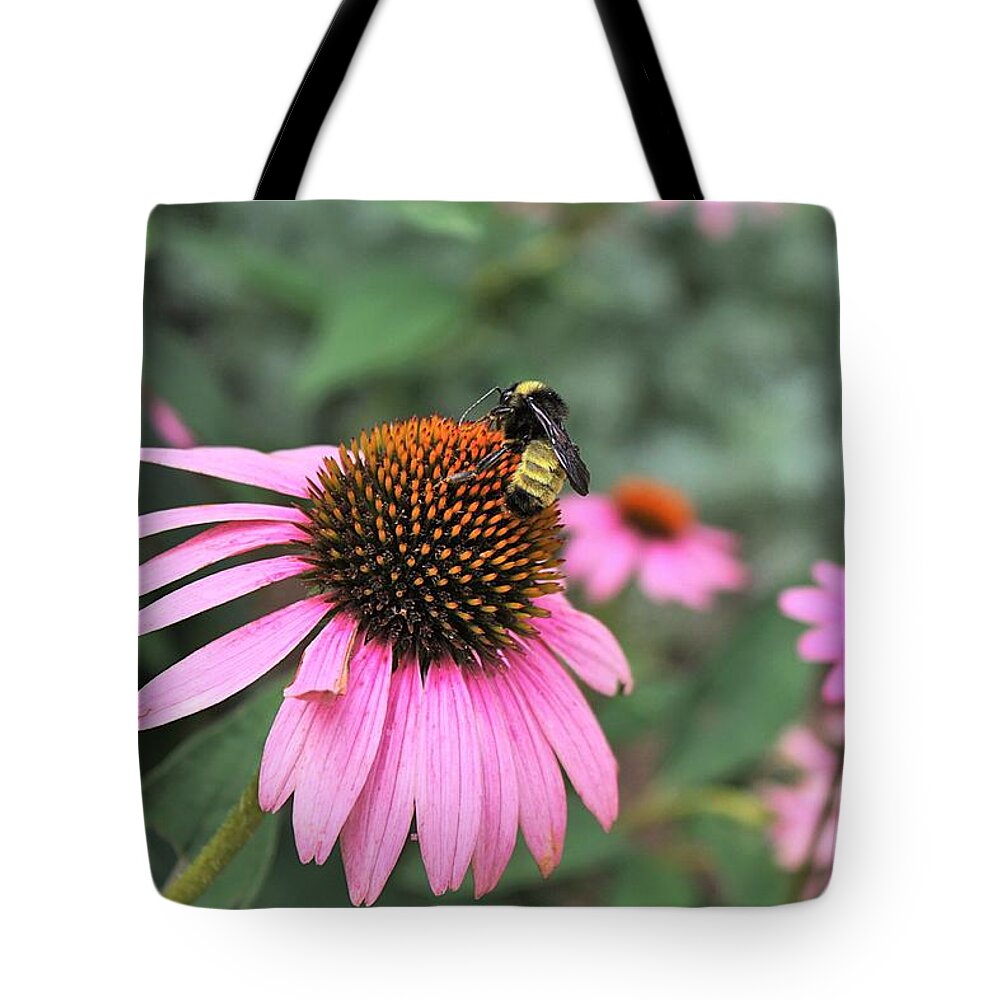 Nature Tote Bag featuring the photograph Coneflowers and Bee by Sheila Brown