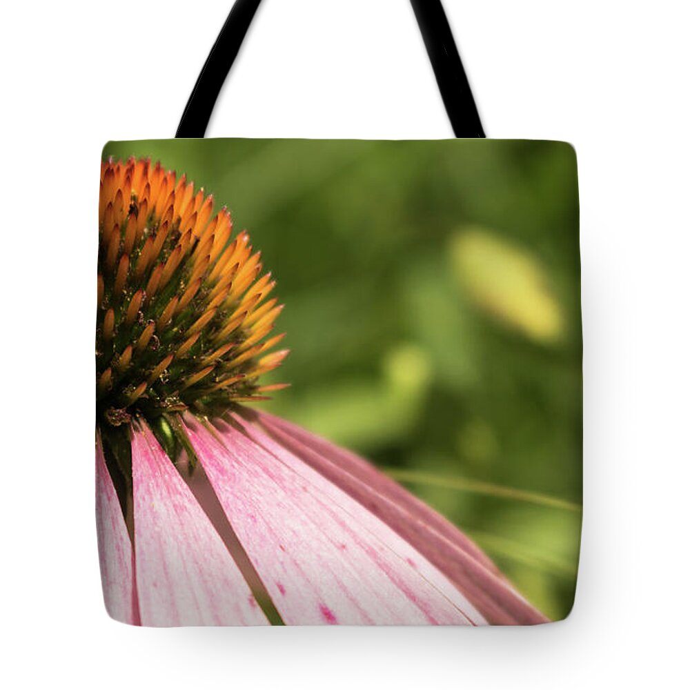 Wildflower Tote Bag featuring the photograph Coneflower by Holly Ross