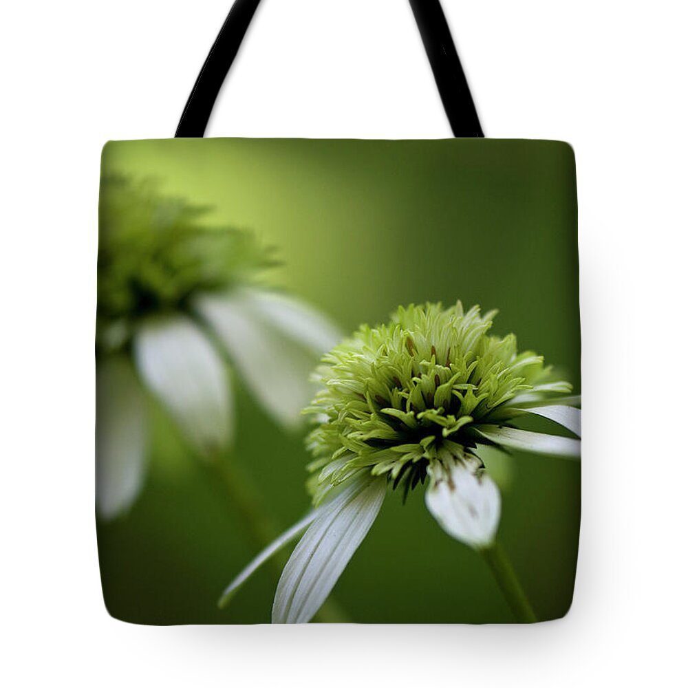 Green Tote Bag featuring the photograph Coneflowers by Karen Smale