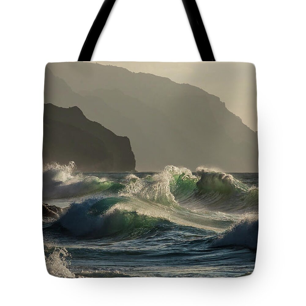 2017 Tote Bag featuring the photograph Confusion by Roger Mullenhour