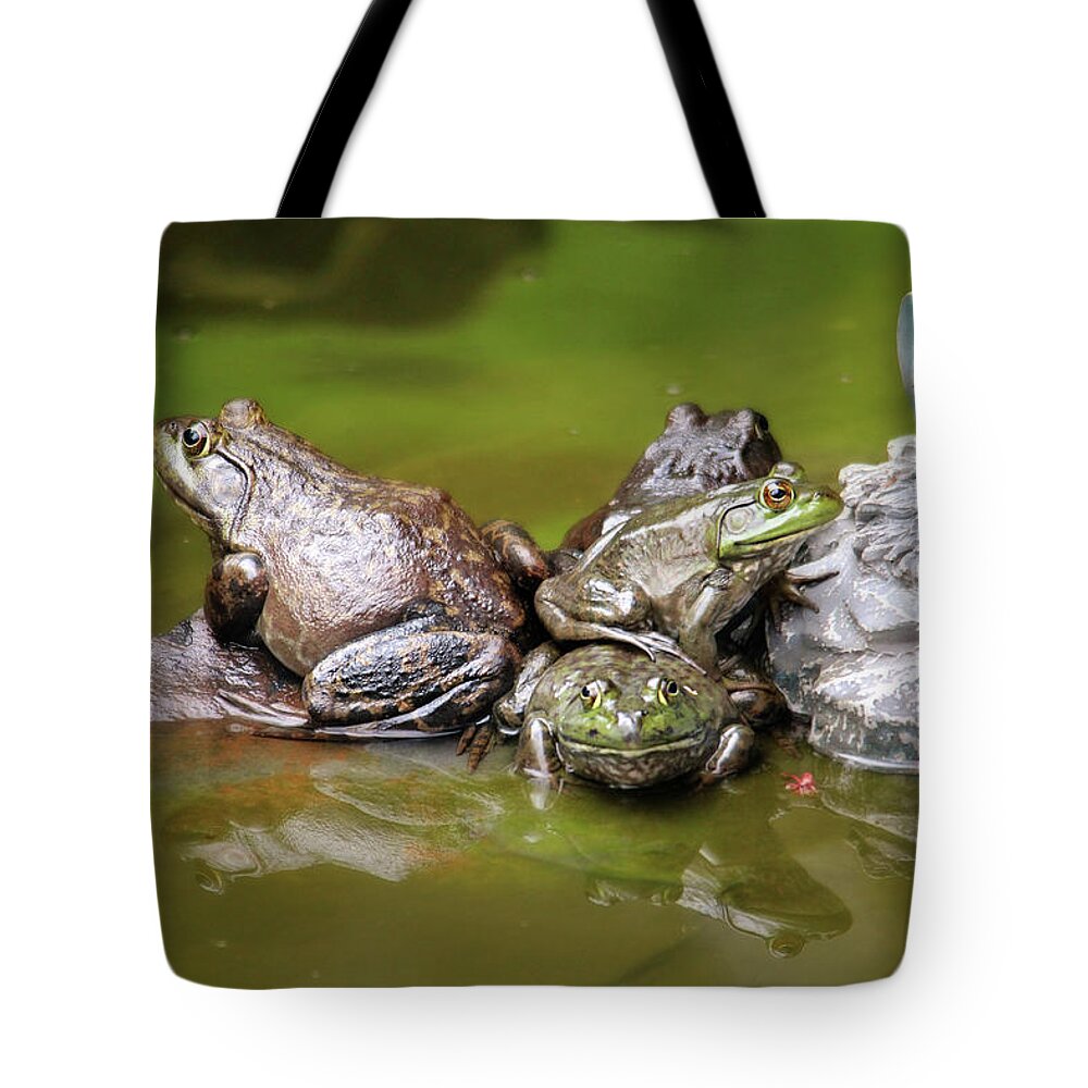 Frogs Tote Bag featuring the photograph Congregation by Trina Ansel