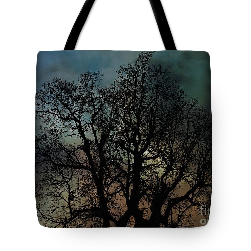 Night Tote Bag featuring the digital art Conjecture by Sheila Ping