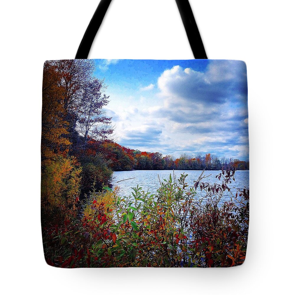 Alma Tote Bag featuring the photograph Conservation Park and Pine River in the Fall by Chris Brown
