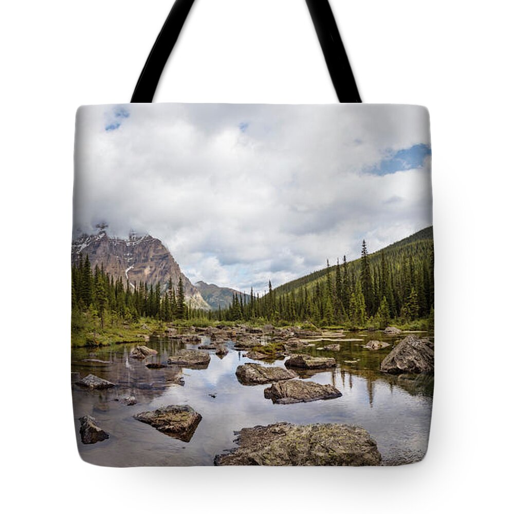 Joan Carroll Tote Bag featuring the photograph Consolation Lake Banff by Joan Carroll
