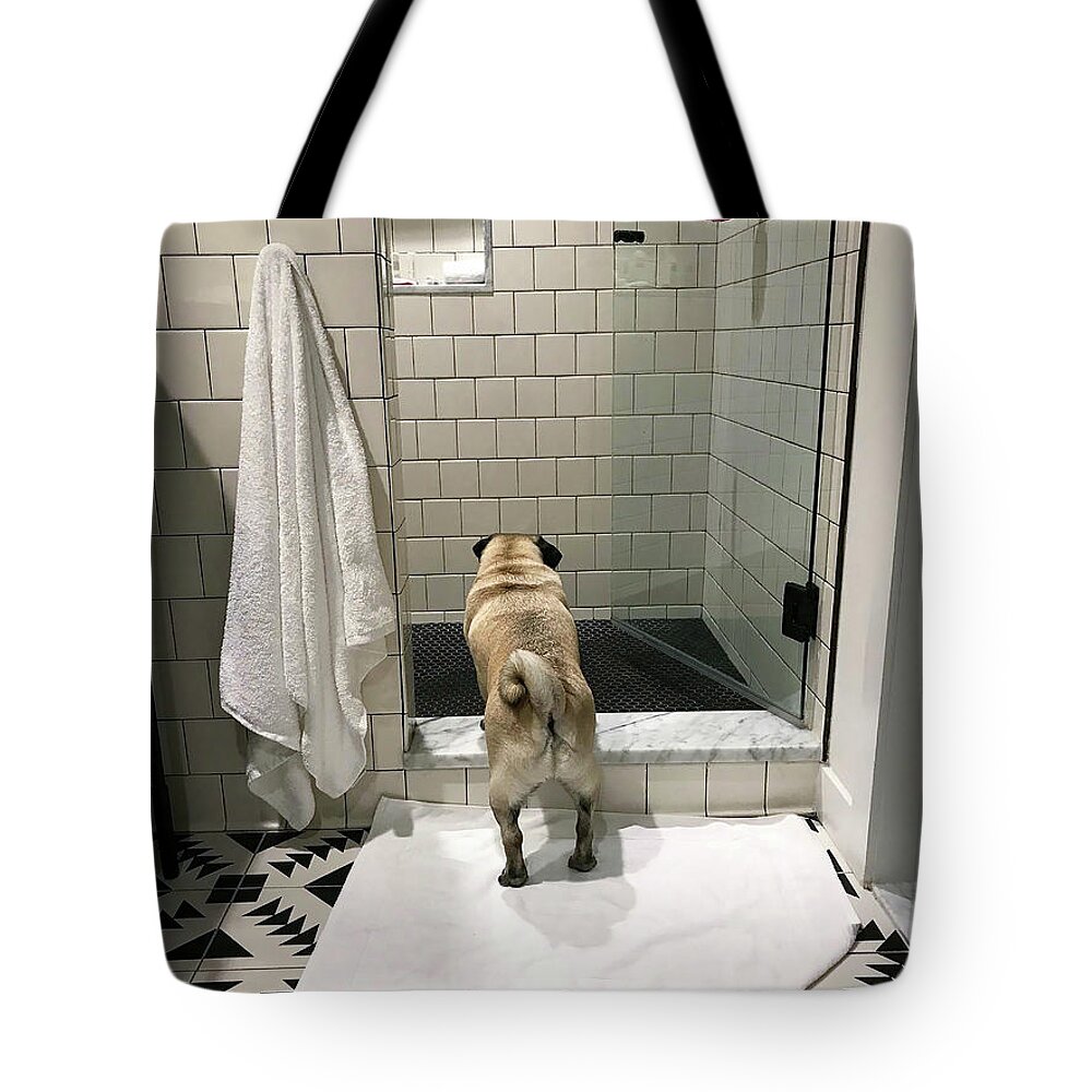 Pug Tote Bag featuring the photograph Contemplating by Jackson Pearson