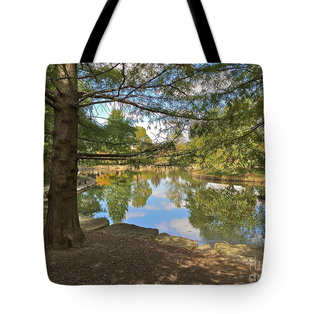 Landscape Tote Bag featuring the photograph Contemplation by Barbara Plattenburg