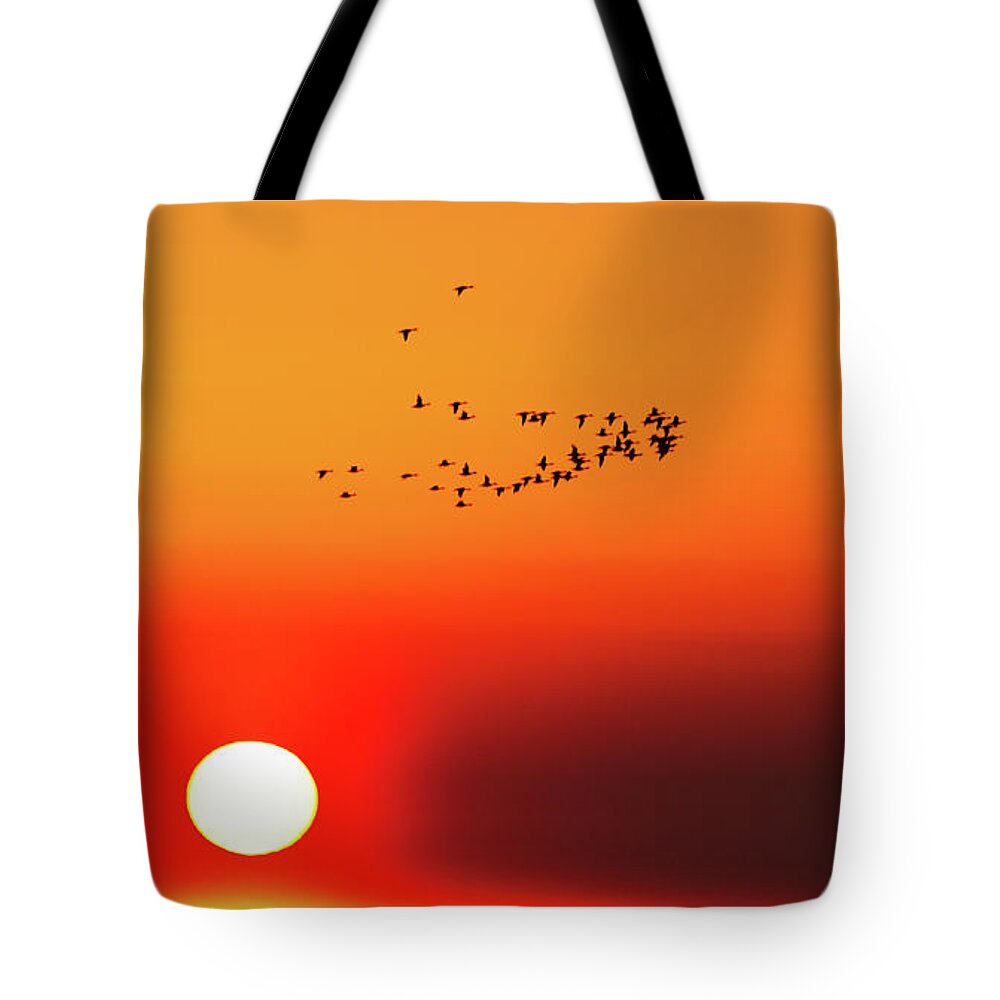 Sunset Tote Bag featuring the photograph Contemplative Sunset by Randall Evans