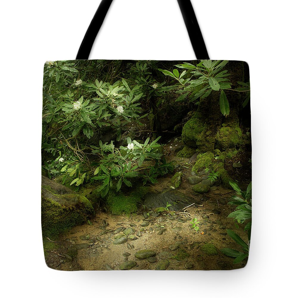 River Tote Bag featuring the photograph Contentment by Mike Eingle