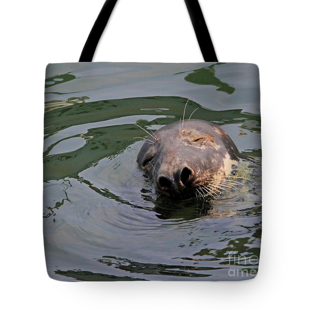 Seal.cape Cod Tote Bag featuring the photograph Contentment by Paula Guttilla