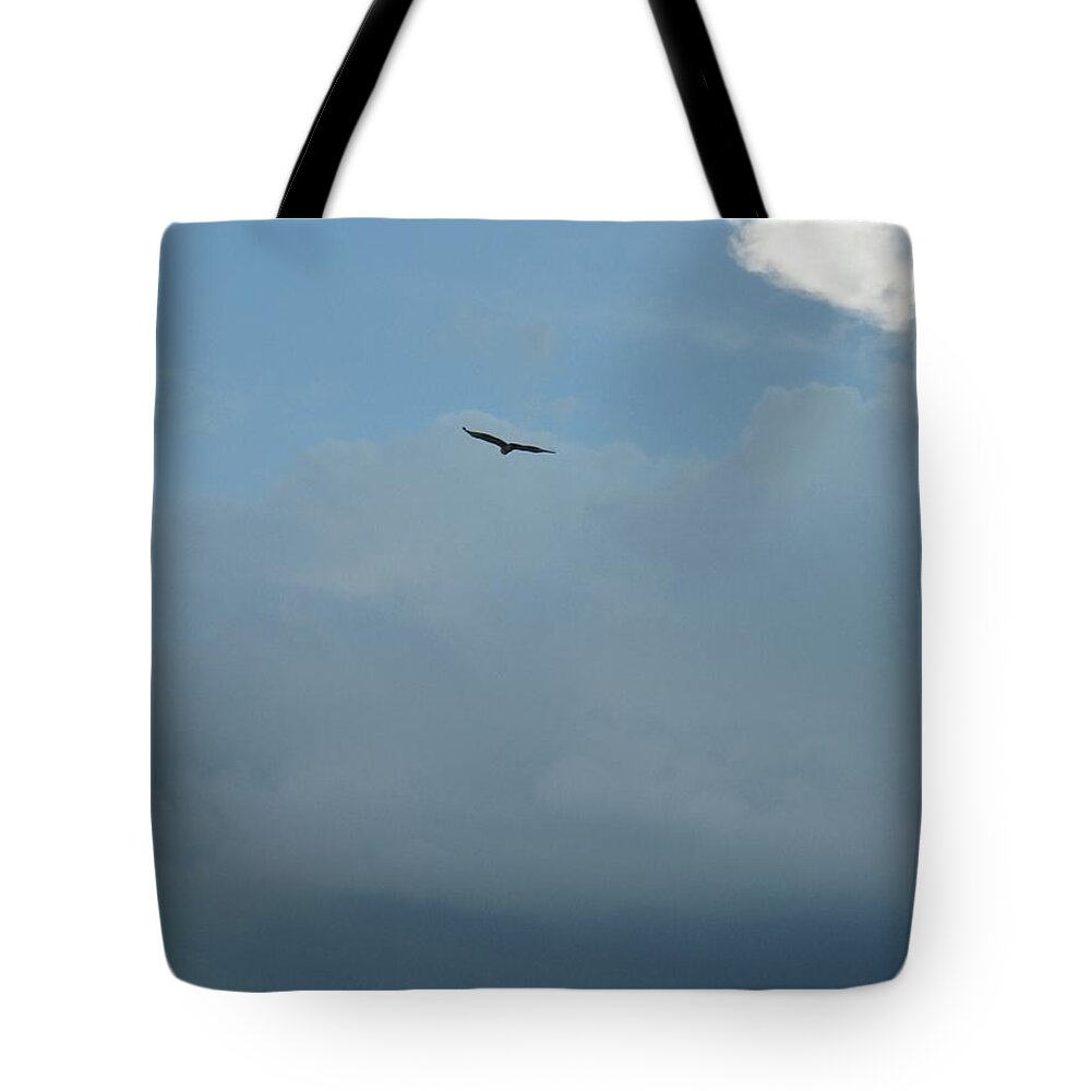 Bird Tote Bag featuring the photograph Continental Thermals by Judith Lauter
