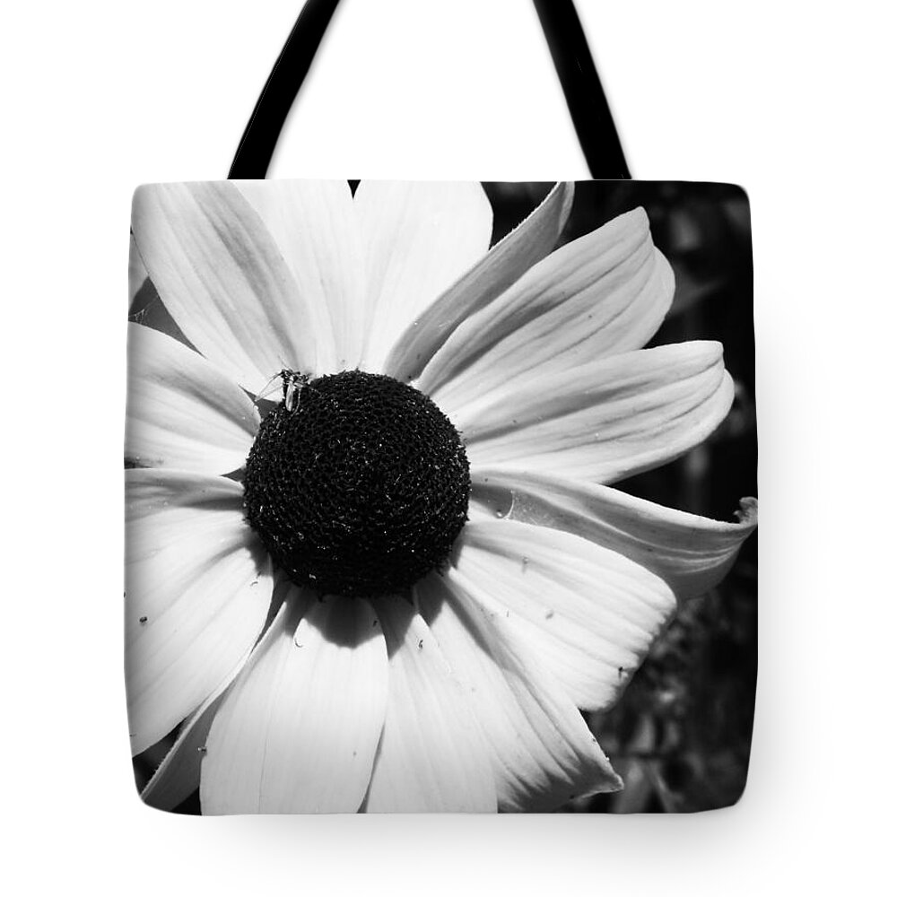 Flowers Tote Bag featuring the photograph Contrast by Hannah Mclennan