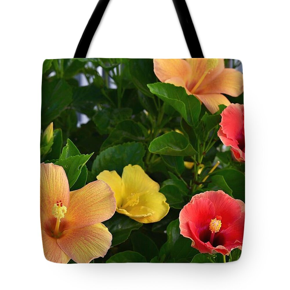 Red Flowers Tote Bag featuring the photograph Contrast of Colors by Kim Bemis