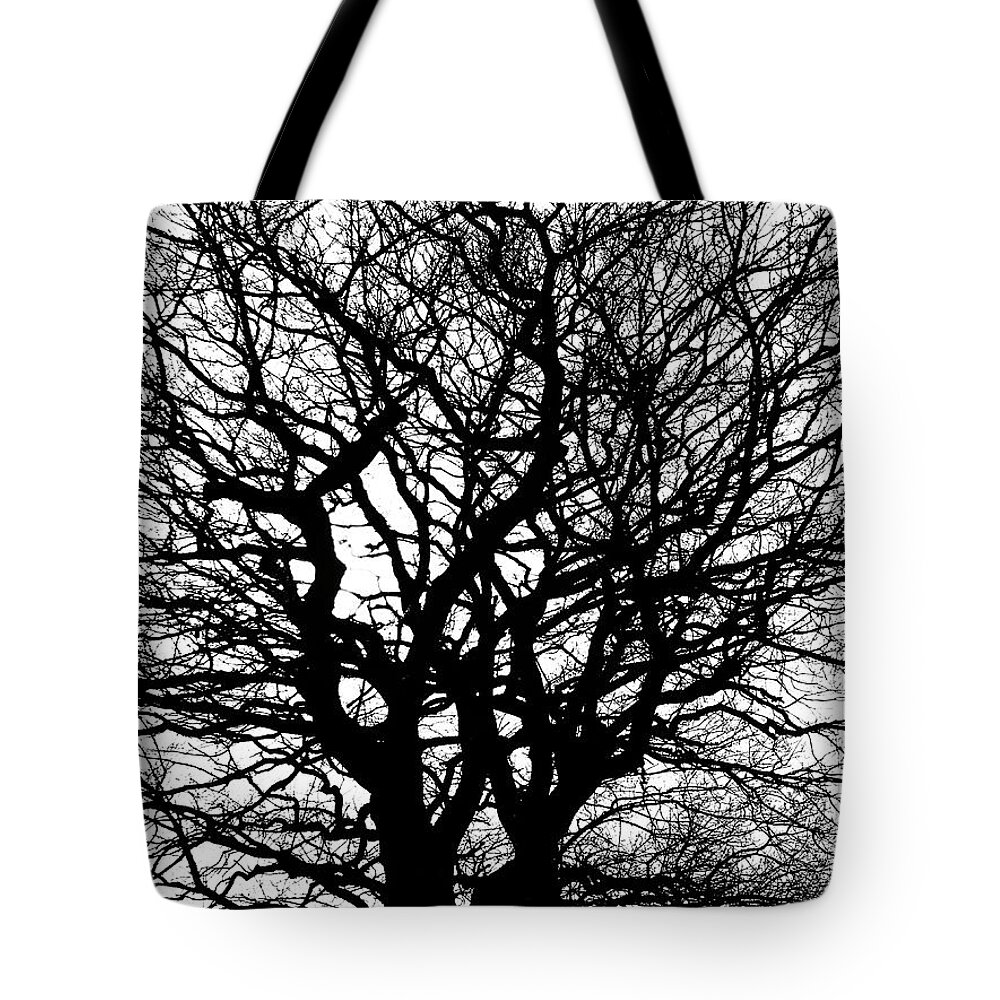 Season Tote Bag featuring the photograph Contrast by Pedro Fernandez