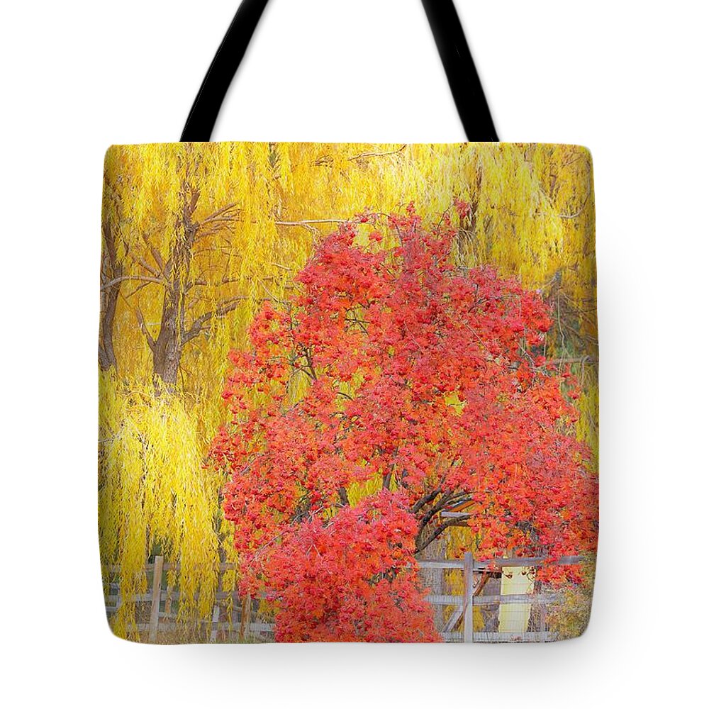 Trees Tote Bag featuring the photograph Contrasting trees by Merle Grenz