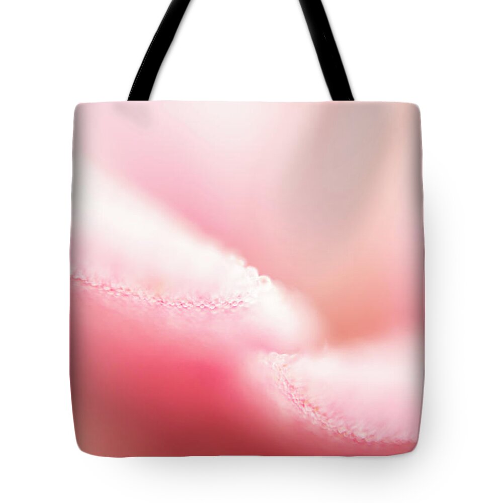Pink_lily_flower Tote Bag featuring the photograph Convergence by Jelieta Walinski
