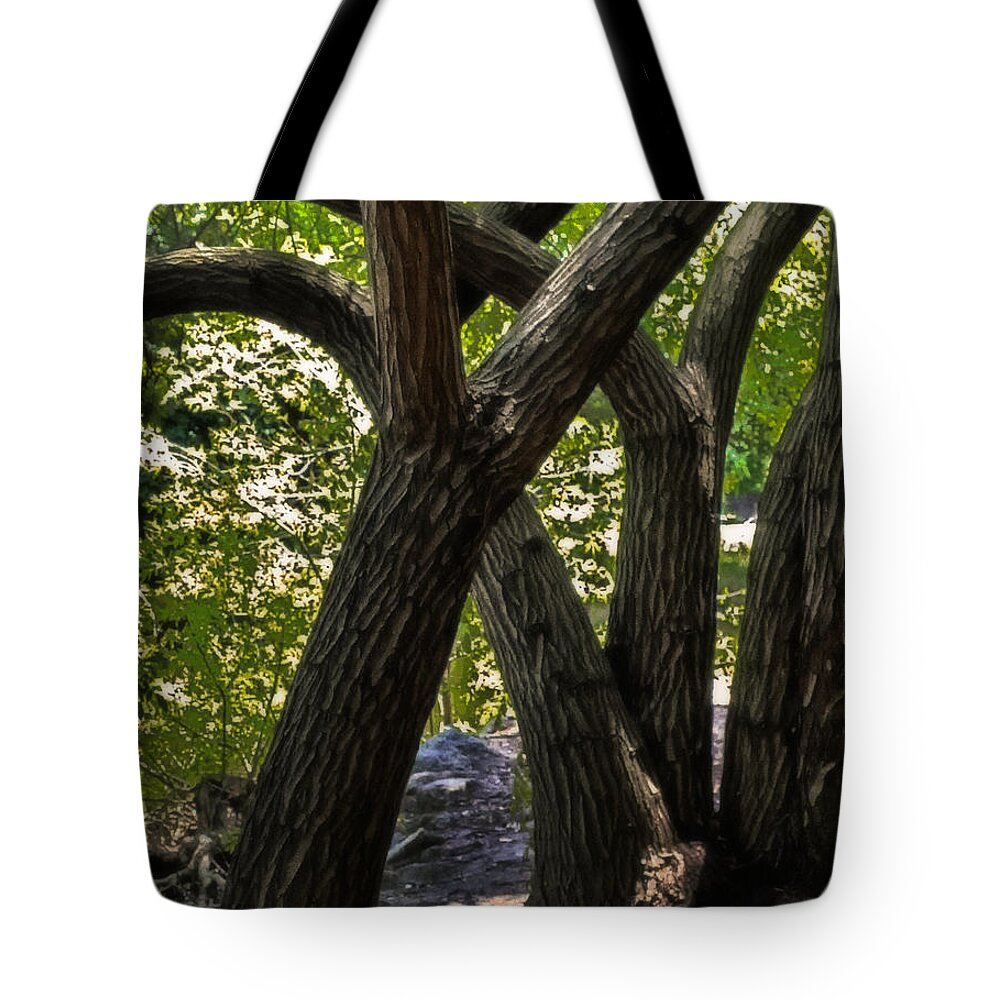  Tote Bag featuring the photograph Convolution by Joseph Hollingsworth