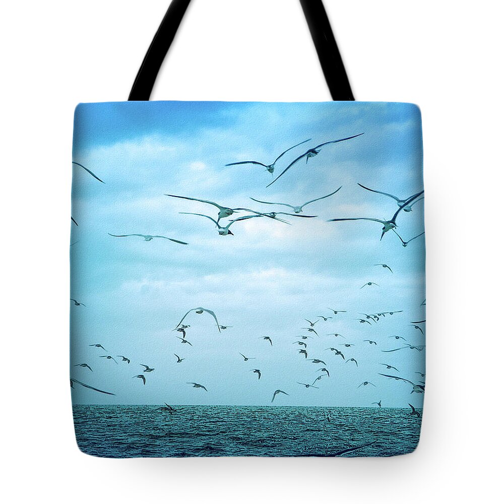 Bird Tote Bag featuring the photograph Cool Blue Seagull Flight by Aimee L Maher ALM GALLERY