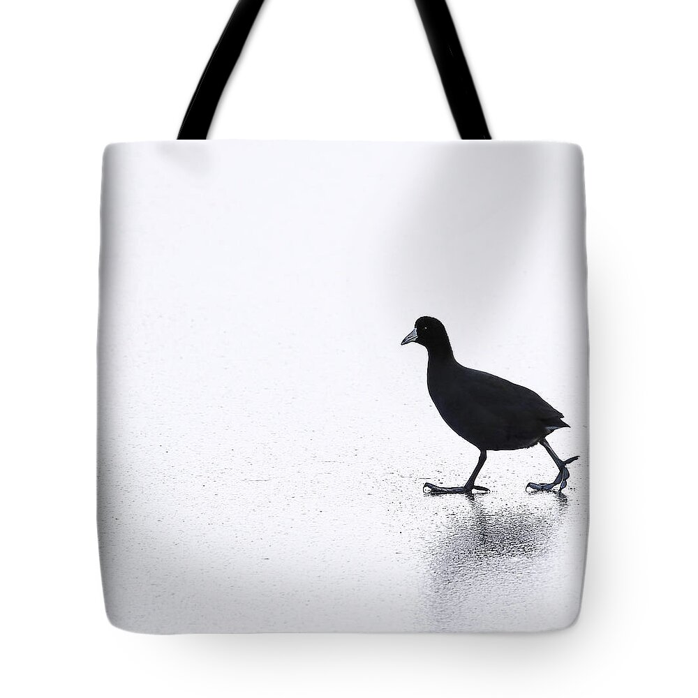 Cool Tote Bag featuring the photograph Cool Chick by Darius Aniunas