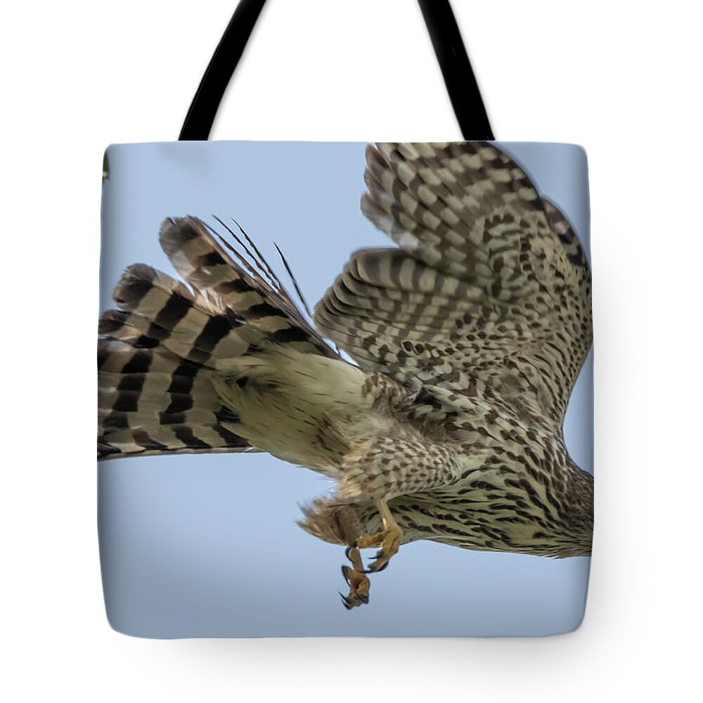 California Tote Bag featuring the photograph Cooper's Hawk in Flight by Marc Crumpler