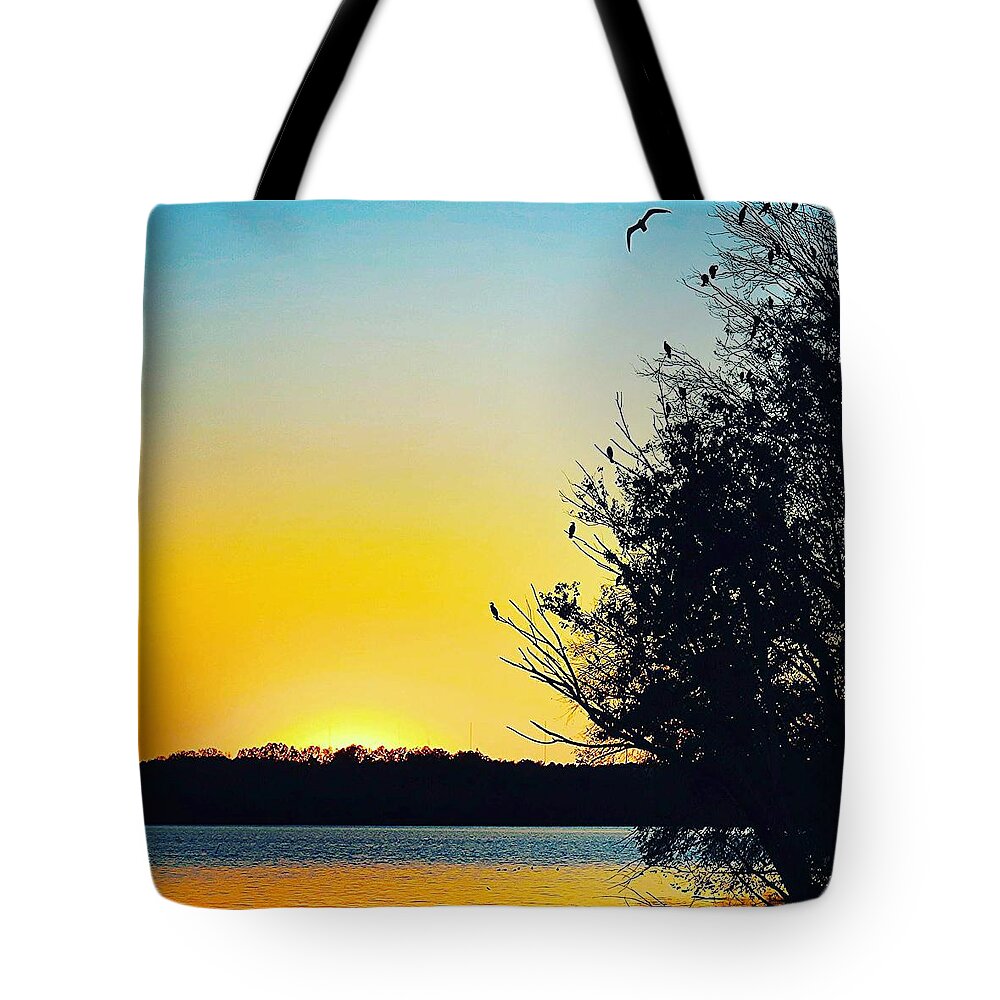 Sunset Tote Bag featuring the photograph Coosa sunset by Jon Paul Billingsley Jr