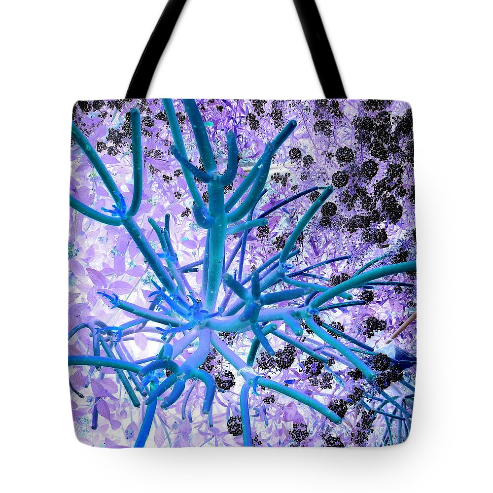 Succulents Tote Bag featuring the digital art Coral Succulent by Cheryl Ehlers