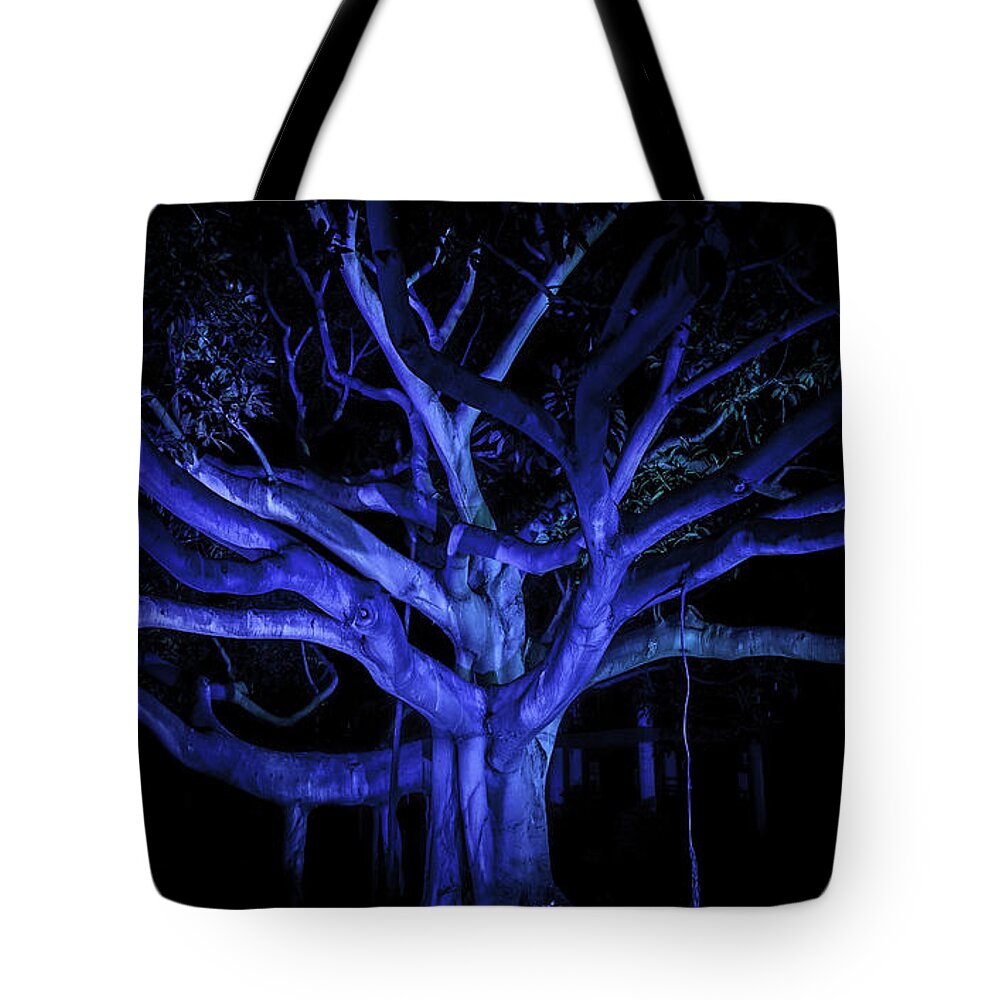 Coral Tree Tote Bag featuring the photograph Coral Tree by Jason Moynihan