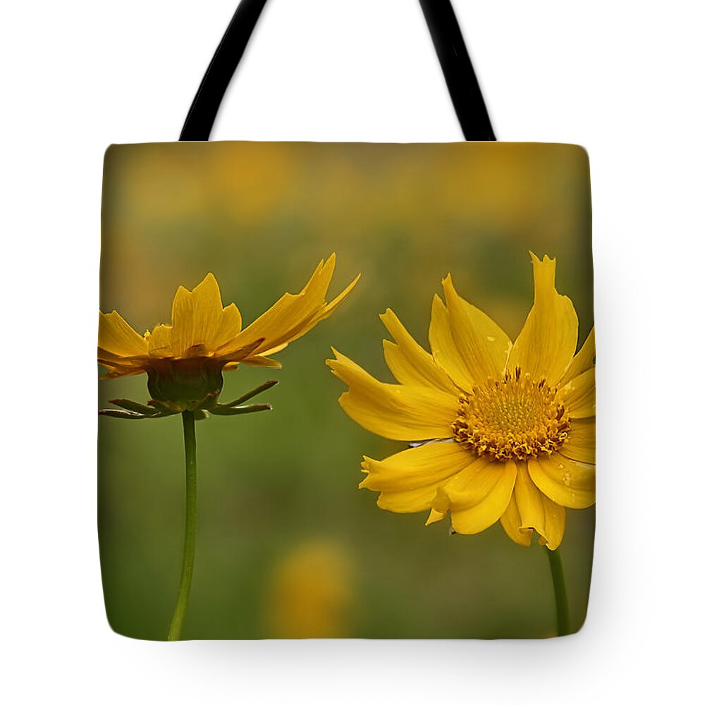 2015 Tote Bag featuring the photograph Coreopsis by Robert Charity