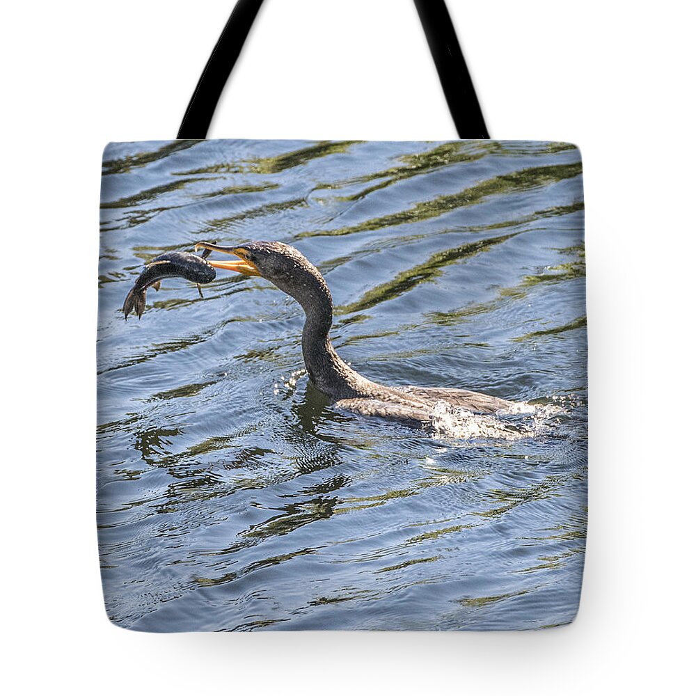 Cormorant Tote Bag featuring the photograph Cormorant Caught Fish by William Bitman